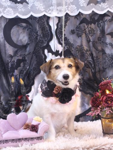 20231017こはるちゃん